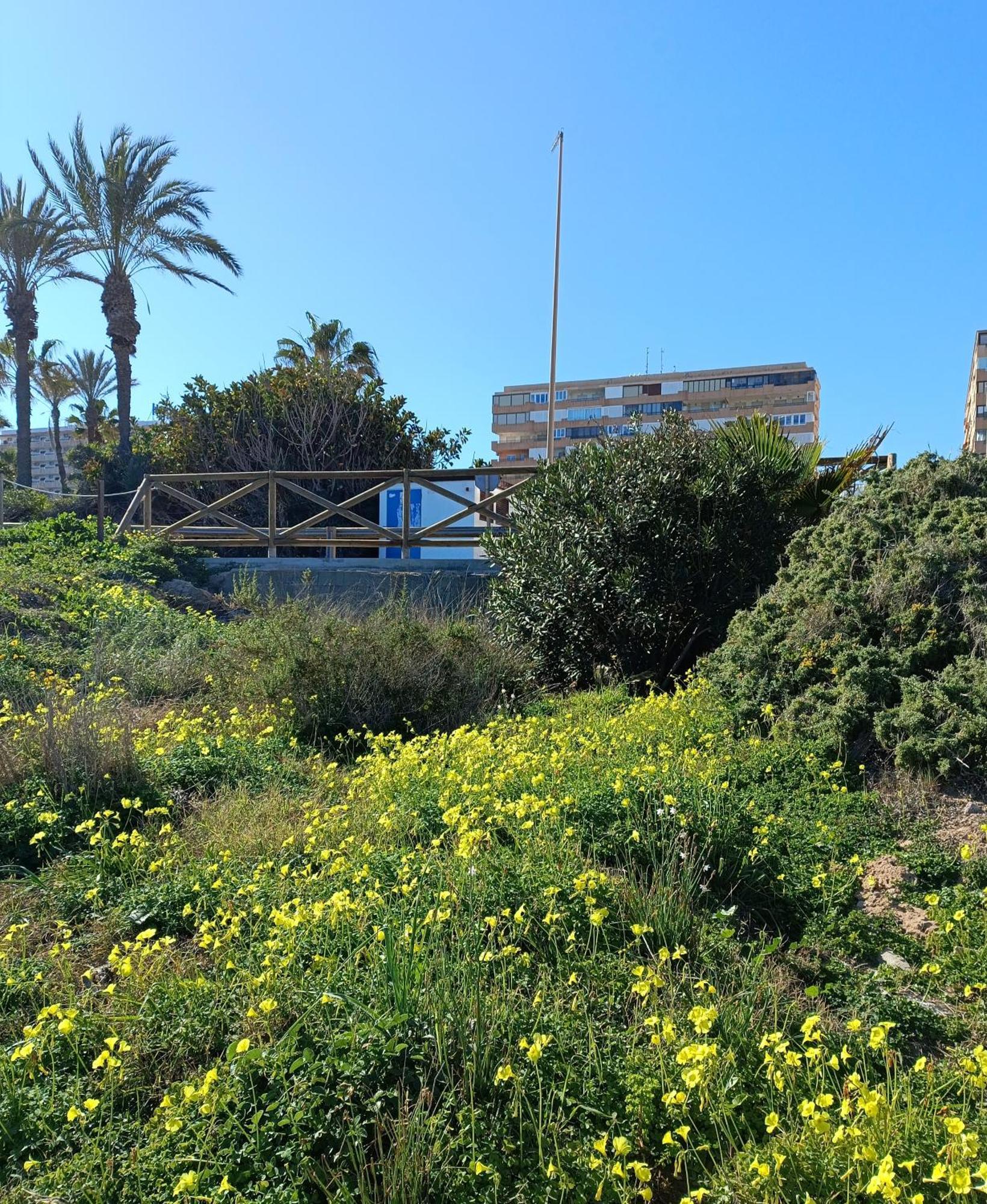 Apartamento Miramar Torrevieja Ngoại thất bức ảnh