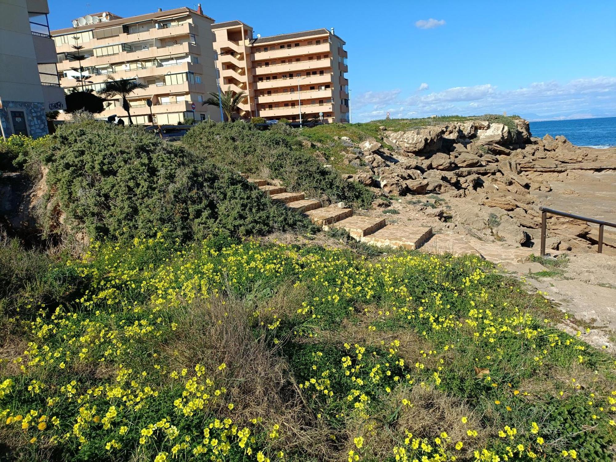 Apartamento Miramar Torrevieja Ngoại thất bức ảnh